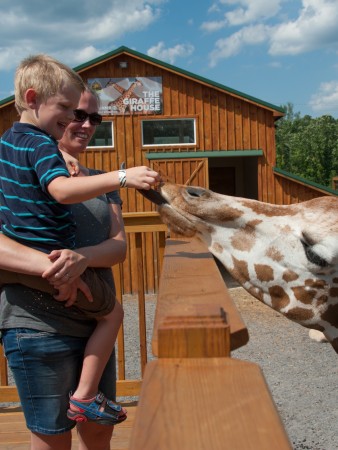 The Wild Animal Park, Madison County, NY